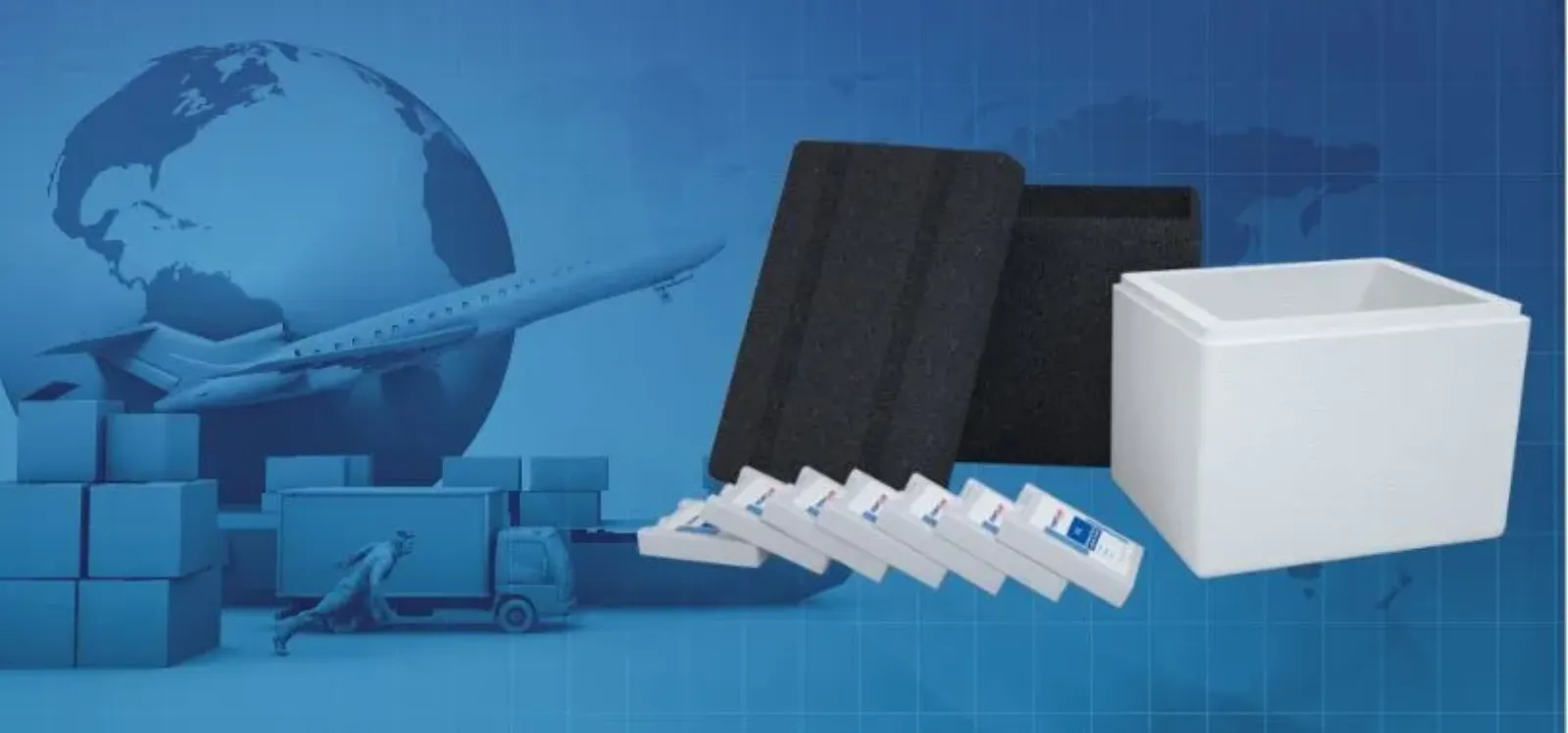 Rugged Qualified Cold ChainPackaging System