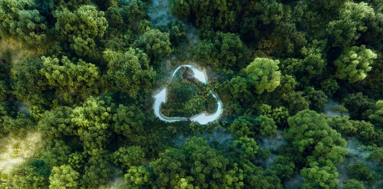 Aerial forest with a recycling symbol carved through it