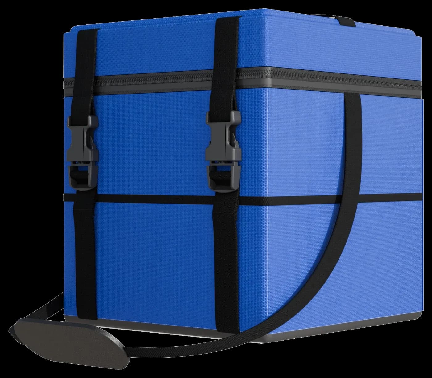 SteadyPac Move
