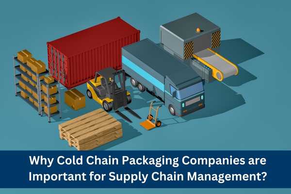 Why Cold Chain Packaging Companies are Important for Supply Chain Management Why Cold Chain Packaging Companies are Important for Supply Chain Management